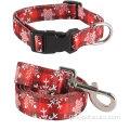 Collar per cani da design a pattern personalizzato a vendita calda